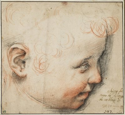 Kopf eines Kindes im Profil; möglicherweise für das Christuskind von Federico Barocci