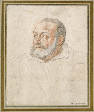 Porträt eines Mannes von Federico Zuccaro