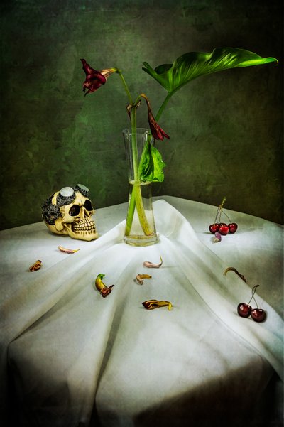 Gotischer Schädel-Vanitas von Felice Angelino
