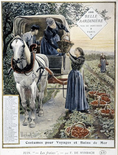 Erdbeeren pflücken - von Myrbach, Kalender 