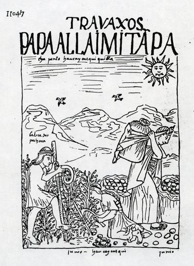 Der Monat Juni, Kartoffelernte von Felipe Huaman Poma de Ayala
