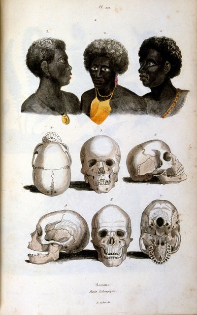Anthropologische Illustration der äthiopischen Rasse von Felix-Edouard Guerin