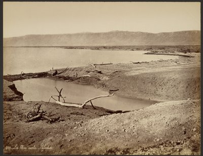 Das Tote Meer, Palästina von Félix Bonfils
