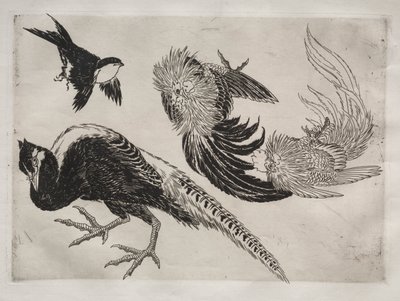 Tafelservice (Rousseau-Service): Fasane und Vogel (Nr. 18) von Felix Bracquemond