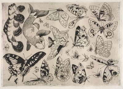Tafelservice Rousseau: Schmetterlinge und Fische Nr. 16, 1866 von Felix Bracquemond