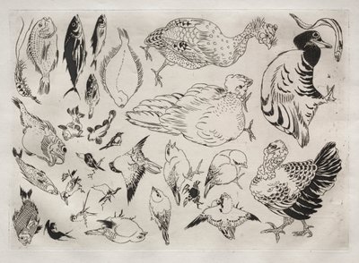 Tafelservice Rousseau: Enten, Fische, etc. Nr. 12, 1866 von Felix Bracquemond