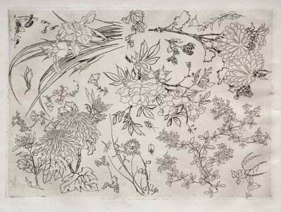 Tafelservice Rousseau-Service: Blumen Nr. 23, 1866 von Felix Bracquemond