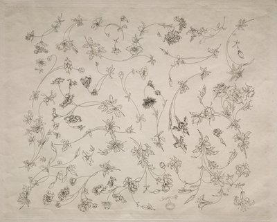 Blumendesigns für Teller und Ränder Nr. 14, 1872 von Felix Bracquemond