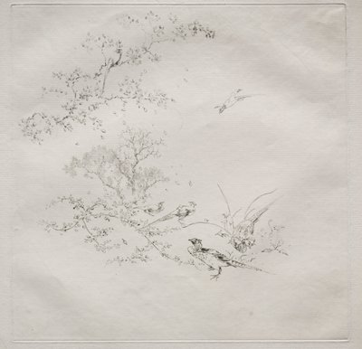 Pariser Service Haviland Service: Nebel Nr. 1, 1875 von Felix Bracquemond