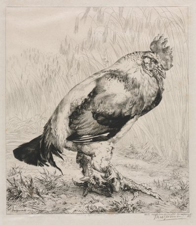 Der alte Hahn, 1882 von Felix Bracquemond