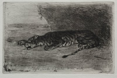 Liegender Tiger am Eingang seiner Höhle von Ferdinand Victor Eugene Delacroix