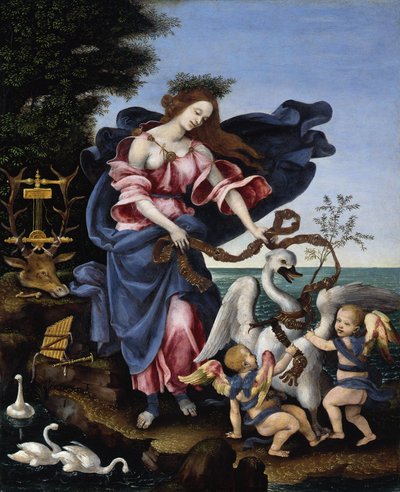 Die Muse Erato von Filippino Lippi