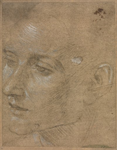 Kopf eines jungen Mannes, zweite Hälfte des 15. Jahrhunderts von Filippino Lippi