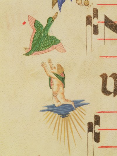 Missale 515 f.13v Ein verhüllter Cherub versucht, einen fliegenden Vogel zu fangen, aus einem dekorativen Rand, Detail aus einem Chorbuch von Filippo di Matteo Torelli