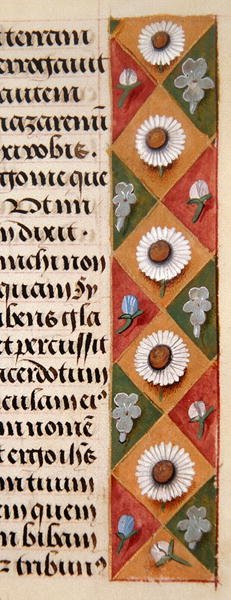 Detail eines floralen Rahmens aus einem Stundenbuch von Flemish School