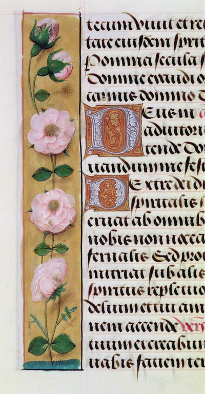 Ms. 1058-1975, f.34v: Detail einer floralen Bordüre aus einem Stundenbuch, um 1500 von Flemish School
