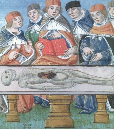 Dissektion, aus De Medina Fen I. II, von Avicenna (980-1037) von Flemish School