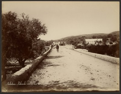 Palästina - Kolonick, Tal des Terebinths von Félix Bonfils