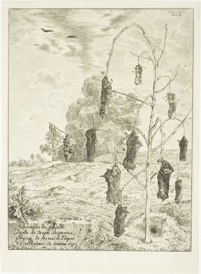 Maulwürfe von Félix Henri Bracquemond