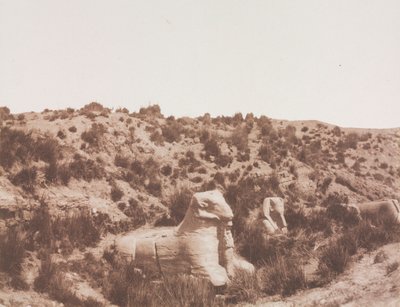 Sphinxe mit Menschenkopf und mit Widderkopf bei Punkt Y. Karnak (Theben) von Félix Teynard
