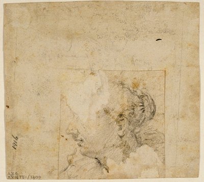 Weiblicher Kopf im Profil nach links; Skizze von Bäumen und Gebäude von Follower of Jacopo Bassano