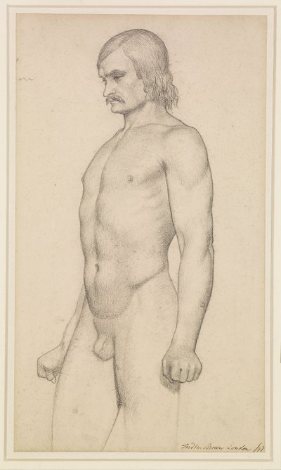 Männlicher Akt - Akademische Studie, Dreiviertelakt mit Schnurrbart und geballten Fäusten von Ford Madox Brown
