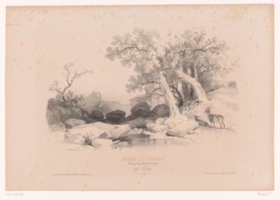 Felsenlandschaft mit Wasser und zwei Hirschen von Fortuné Ferogio