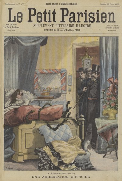 Die schwierige Verhaftung eines Schlangenbeschwörers von Fortune Louis Meaulle