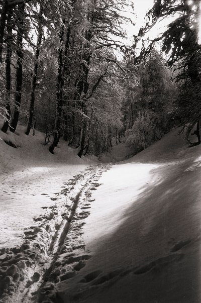 Stille und Geheimnis von Fosco Maraini