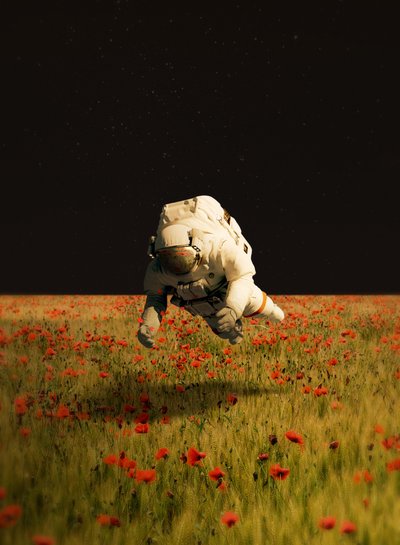 Traum des Astronauten mit Mohnblumen von Fran Rodríguez