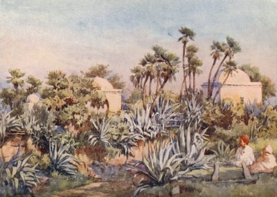 Koubba von Sidi Noumann, Bouzareah von Frances Nesbitt