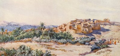 Am Rande der Wüste von Frances Nesbitt