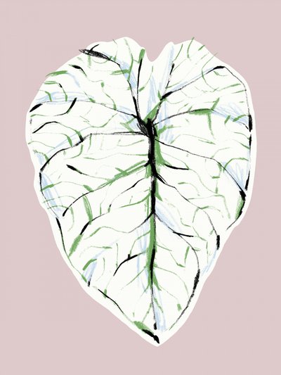 Elegantes Geädertes Blatt von Francesco Gulina