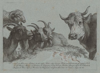Studie von Köpfen: Drei Ziegen, ein Ochse und ein Widder, veröffentlicht ca. 1783 von Francesco Londonio