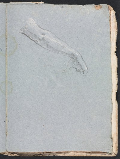 Verona Skizzenbuch: Rechter Arm und Hand (Seite 95) von Francesco Lorenzi