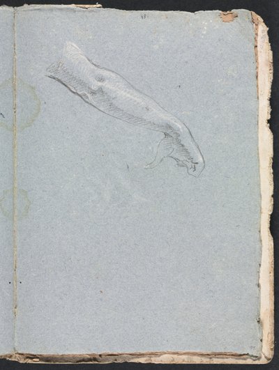Verona-Skizzenbuch: Rechter Arm und Hand, Seite 95 von Francesco Lorenzi