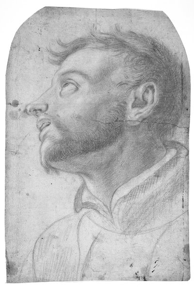 Kopf eines Mannes, der nach oben schaut von Francesco Solimena