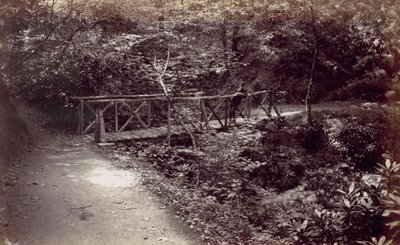 Colwyn Bay. Rustikale Brücke im Wald, 1870er Jahre von Francis Bedford
