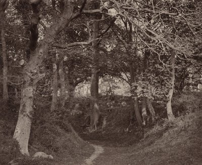 Glen Kenilworth, um 1868 von Francis Bedford