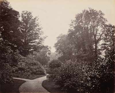 Weg im Alexandra Park von Francis Bedford