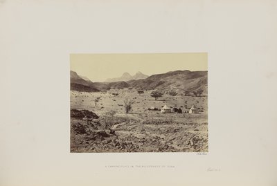 Ein Lagerplatz in der Wüste Sinai von Francis Frith