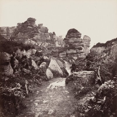 Brimham Rocks, Yorkshire von Francis Frith