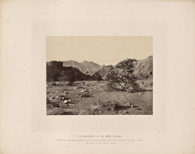 Die Wüste Sin (Wady Shellal) von Francis Frith