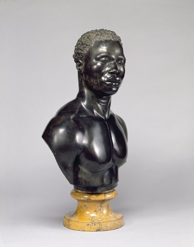Büste eines Mannes, ca. 1758 (schwarzer Kalkstein und gelber Marmor) von Francis Harwood