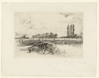 Aue von Francis Seymour Haden (Sir) (signed by artist)