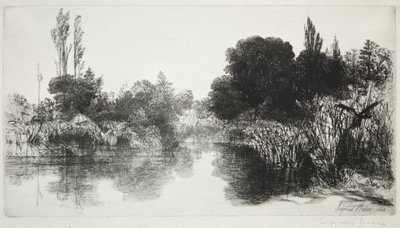 Shere Mill Pond, Nr. 11 Die große Platte, 1860 und später von Francis Seymour Haden