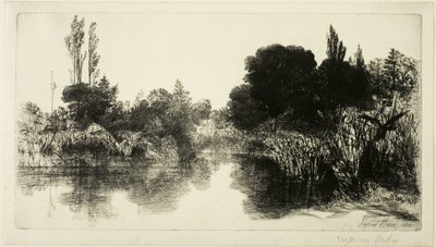 Shere Mill Pond, Nr. II (große Platte) von Francis Seymour Haden