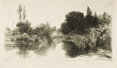 Shere Mill Pond, Nr. II (große Platte) von Francis Seymour Haden