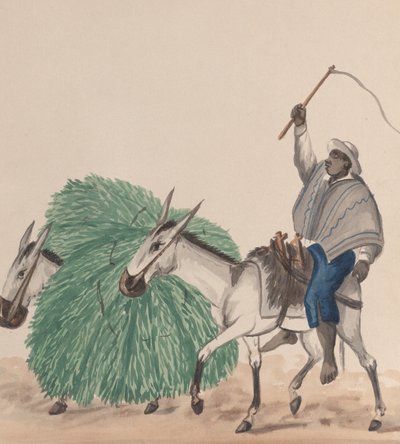 Ein Mann reitet auf einem Maultier, seine Peitsche erhoben, ein anderes Maultier mit Gras beladen, ca. 1848 von Francisco