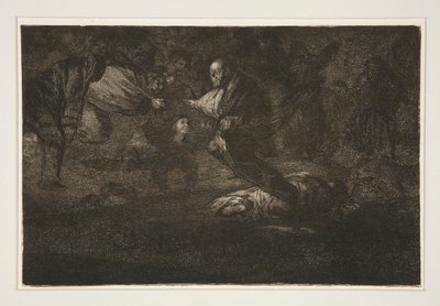 Gott erschafft sie und sie gesellen sich zusammen, pl. 18 aus der Serie Los proverbios von Francisco de Goya